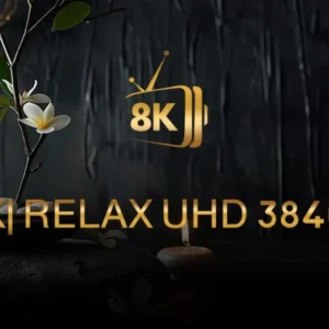 IPTV 8K