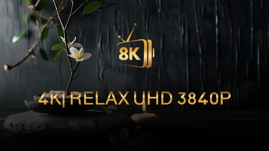 IPTV 8K